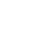 The BDS Agency
