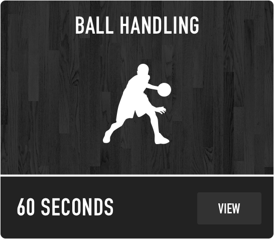 Dr. Dish Basketball Training Management System- Ball Handling