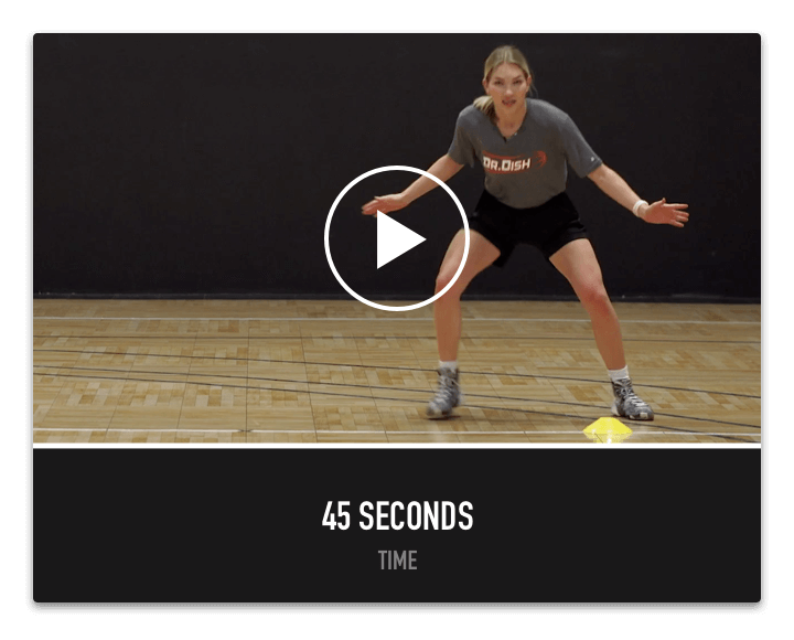 Dr. Dish Home Basketball Passing Machine- Agility