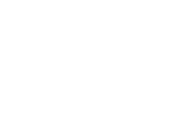 Global Munchkins & Dr. Dish Basketball